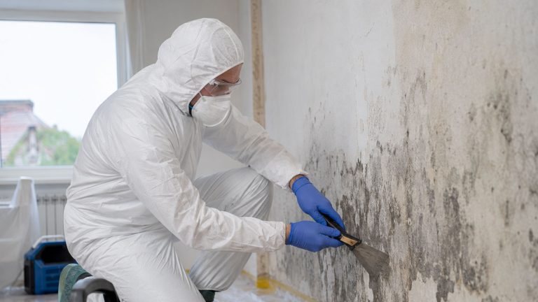Eine geschützte Fachkraft entfernt Schimmelbefall professionell von einer Innenwand. Das Bild steht für eine sorgfältige und sichere Schimmelsanierung.